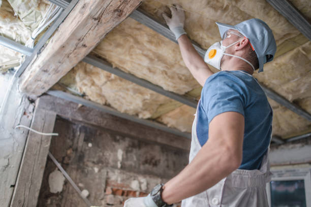 Best Cellulose Insulation in Mcmillin, WA